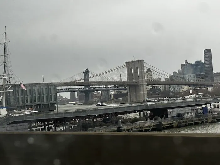 Dog Park East River Esplanade South 10