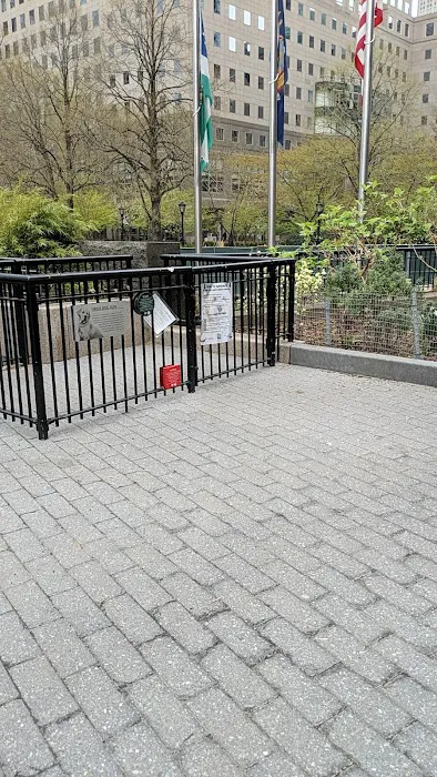 Sirius Dog Run 5