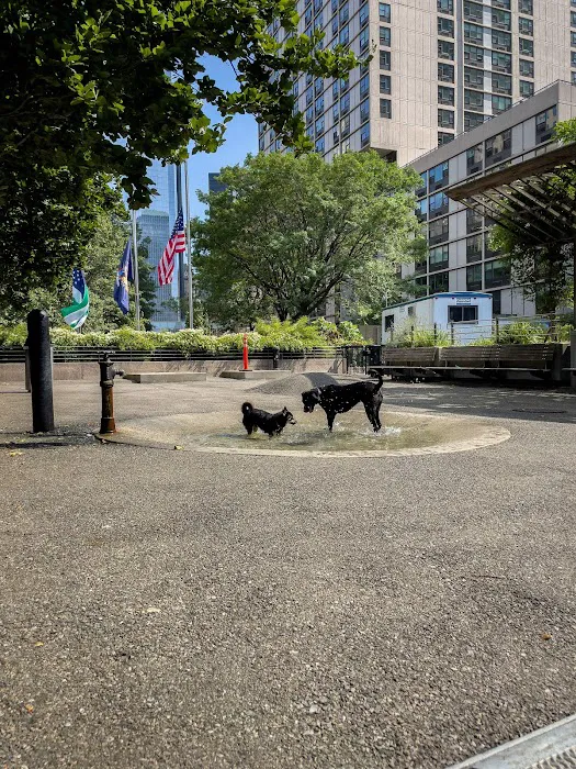 Sirius Dog Run 7
