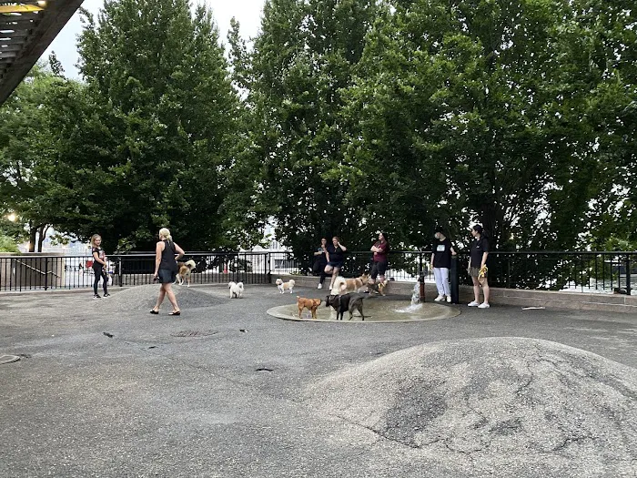 Sirius Dog Run 9