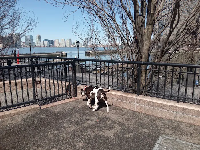 Sirius Dog Run 10