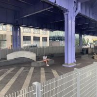 Parks Dog Run ico