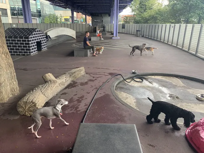Parks Dog Run 9