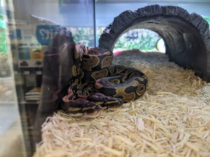 Petco 3