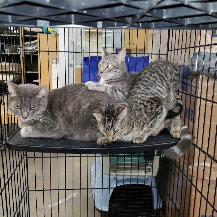 Petco 10