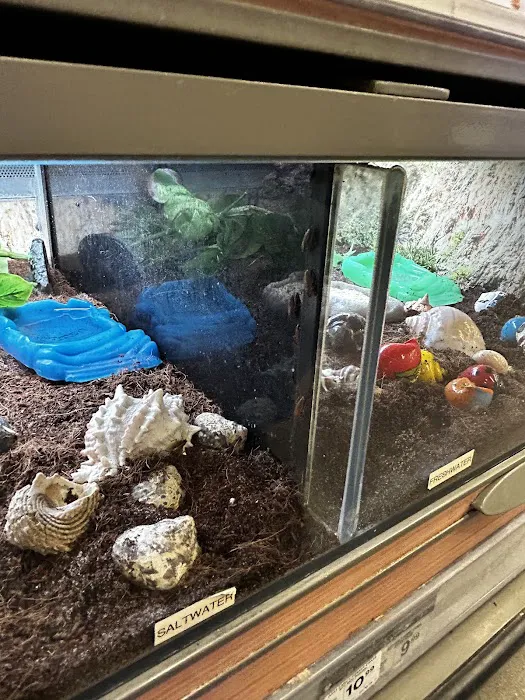 Petco 5