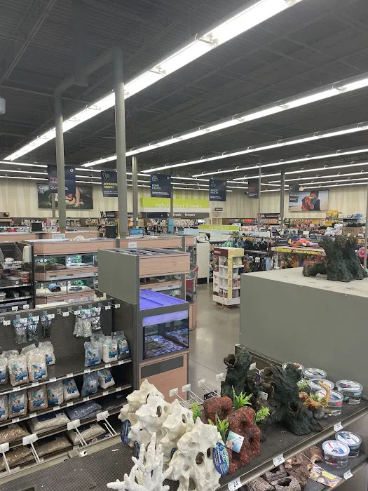 Petco 8