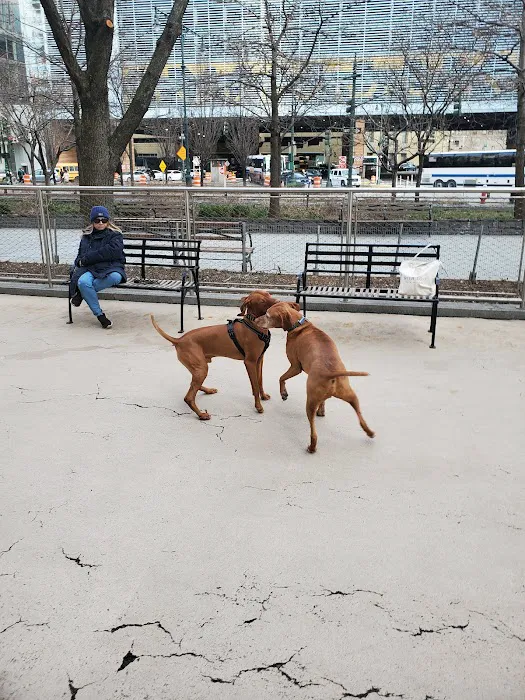 West Thames Dog Run 3