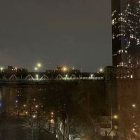 Coleman Oval Dog Run ico
