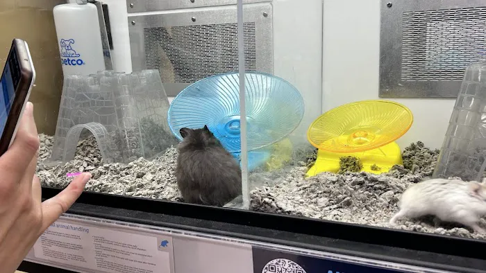 Petco 6