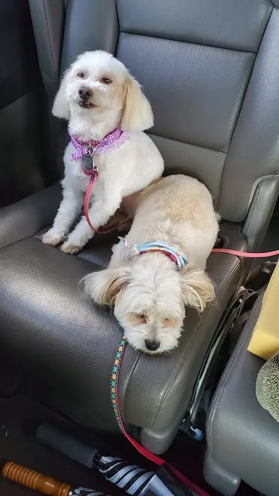 Petco 1