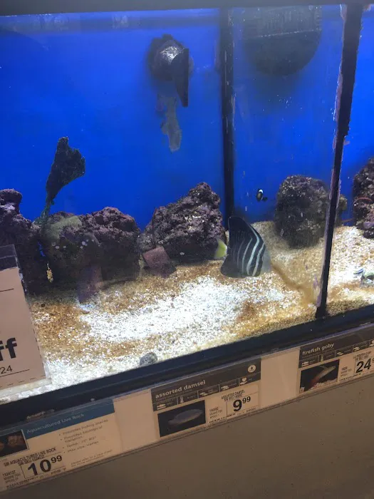 Petco 8