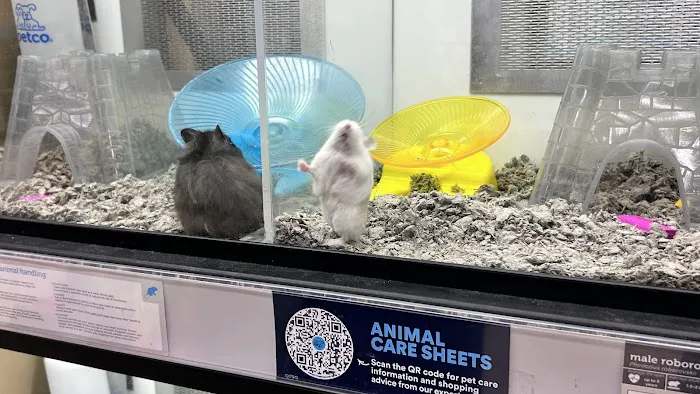 Petco 2