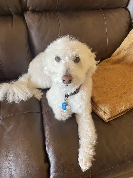 Petco 10