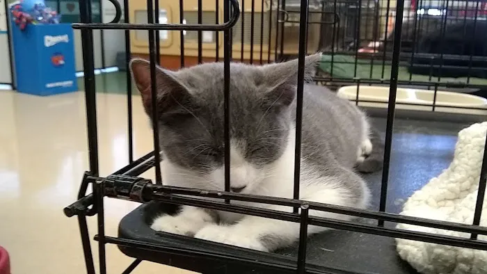Petco 9