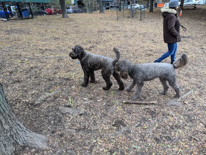 Hillside Dog Park 5