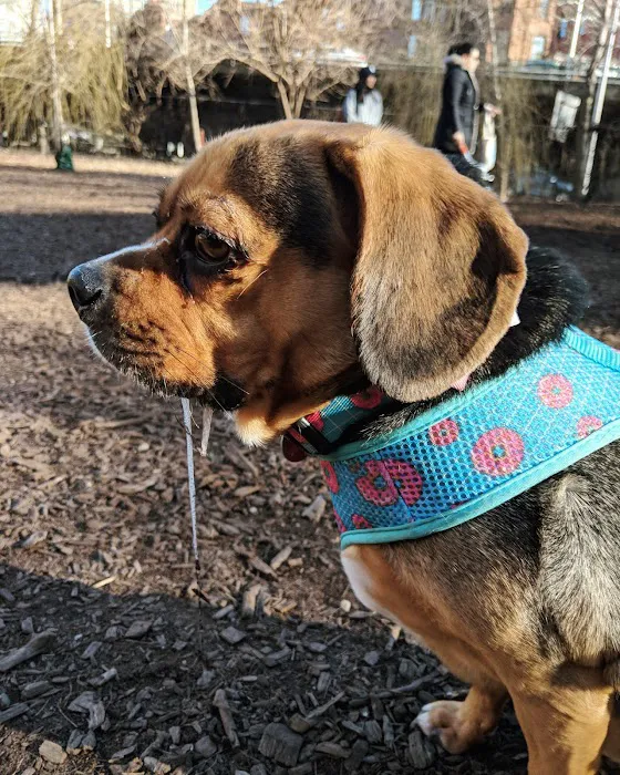 Hillside Dog Park 9