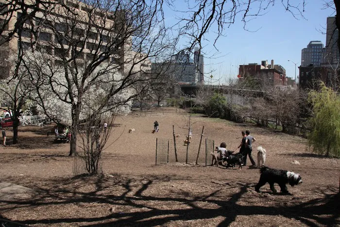 Hillside Dog Park 6