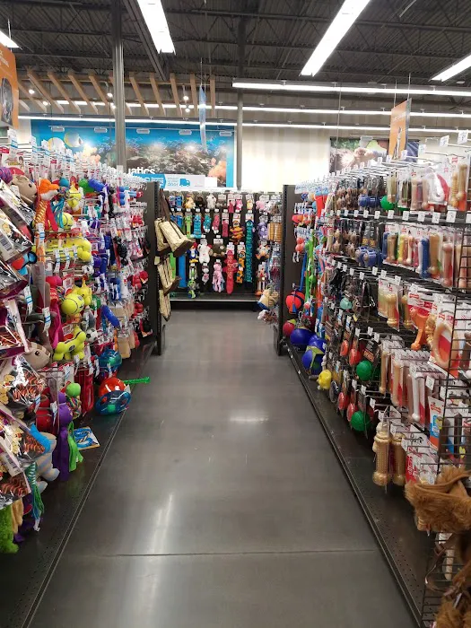 Petco 6