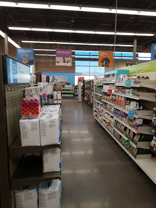 Petco 1