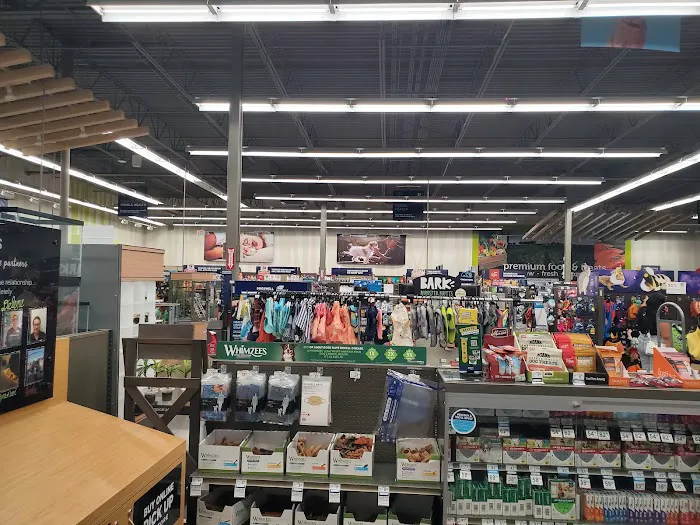 Petco 5