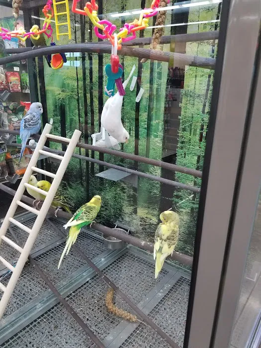 Petco 4