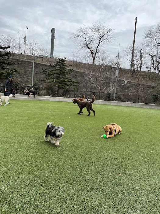 Pier 6 Dog Run 10