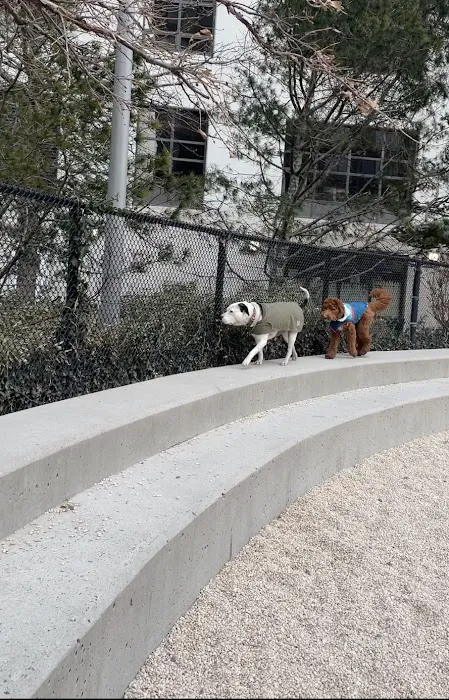 Pier 6 Dog Run 9