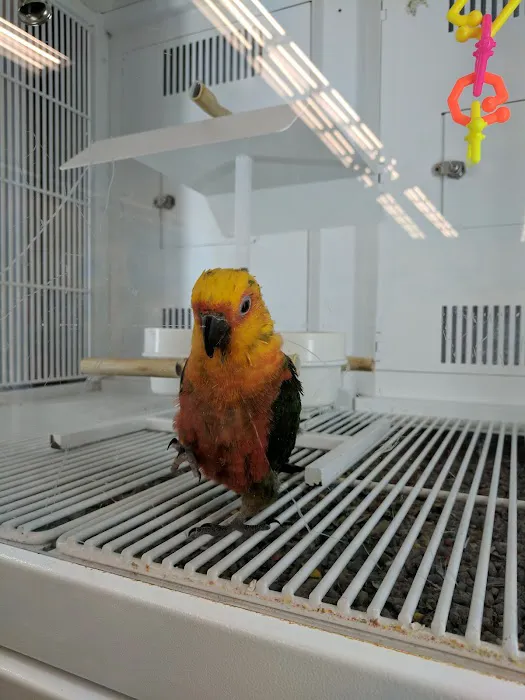 Petco 3