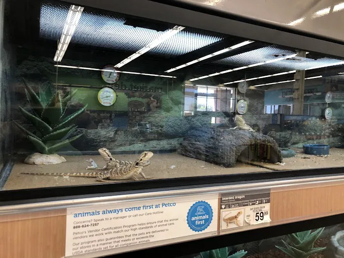 Petco 1