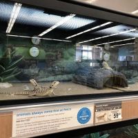 Petco ico