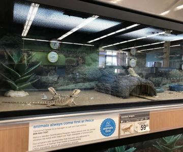 Petco