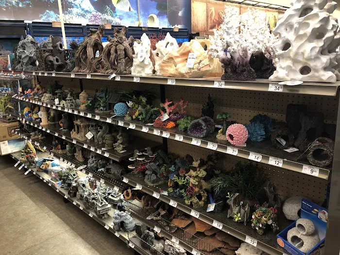Petco 6