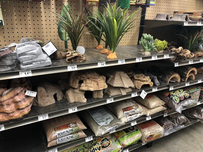 Petco 10