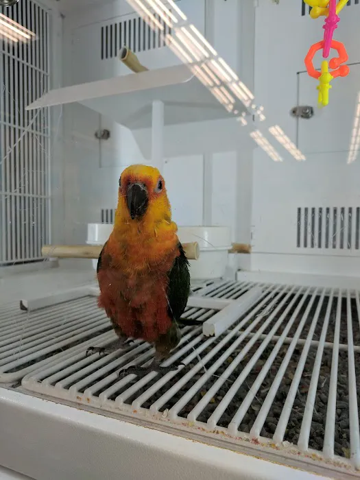 Petco 7