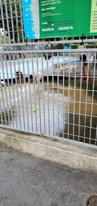 Leroy Street Dog Park 8