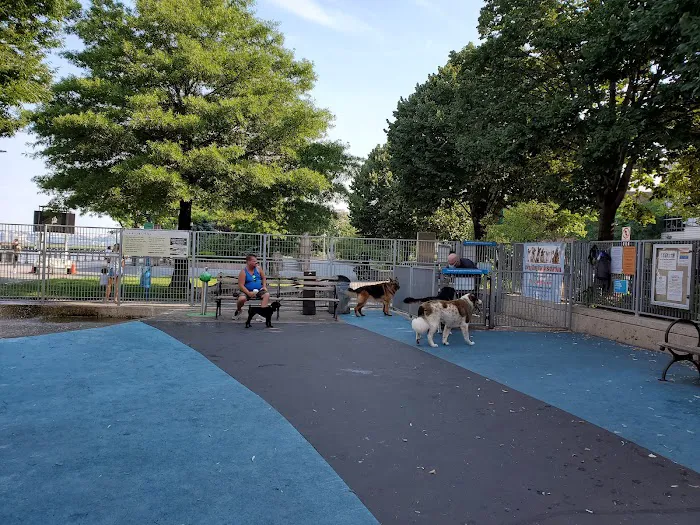 Leroy Street Dog Park 4
