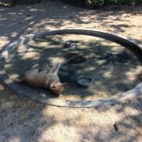 52 Washington Square S ico