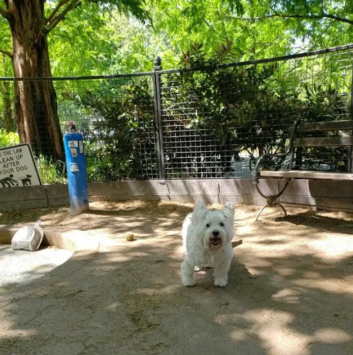 Robin Kovary Dog Run for Small Dogs 3