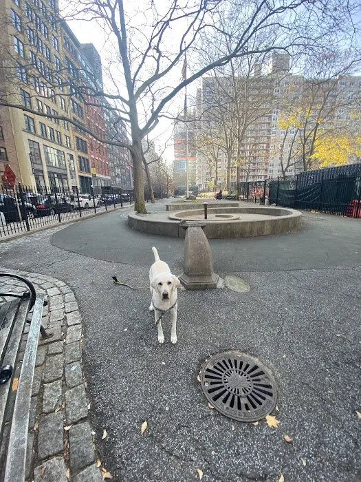 Robin Kovary Dog Run for Small Dogs 7
