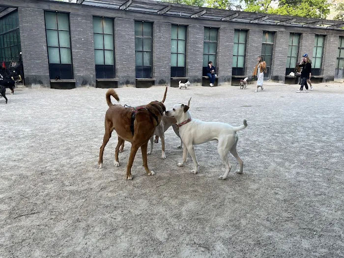 Robin Kovary Dog Run for Small Dogs 6