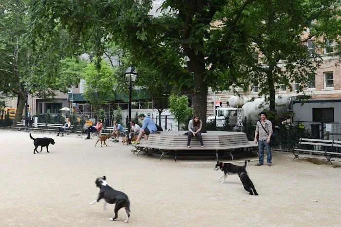Robin Kovary Dog Run for Small Dogs 10