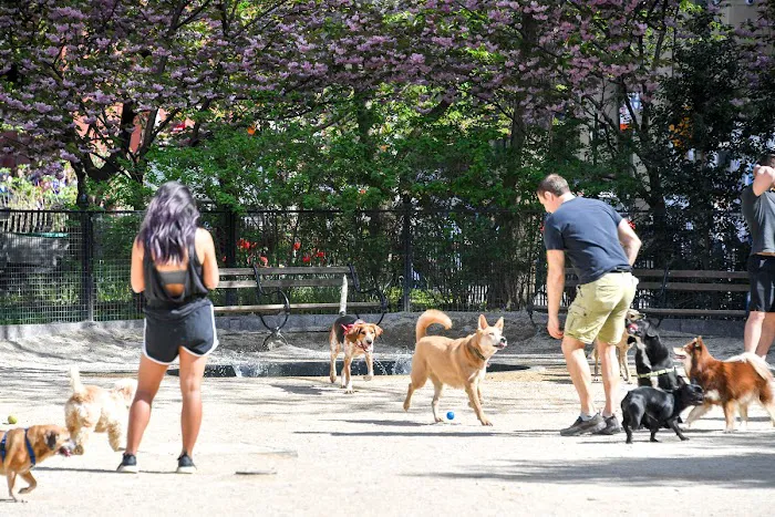 Robin Kovary Dog Run for Small Dogs 9