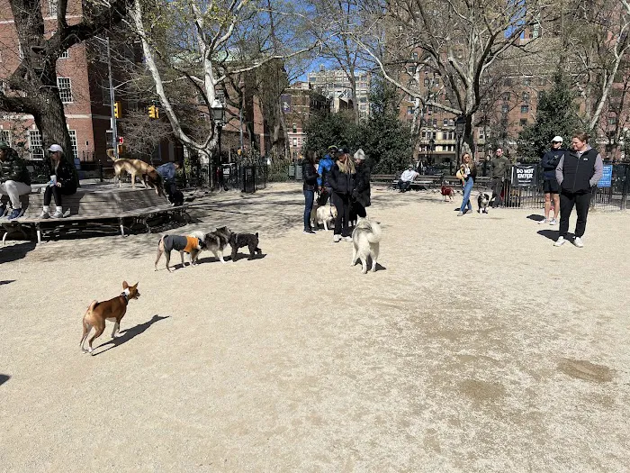 Washington Square Park Dog Run 2