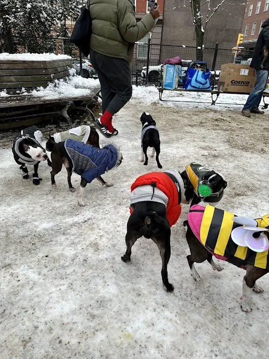 Washington Square Park Dog Run 6