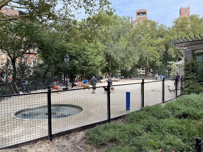 Washington Square Park Dog Run 5