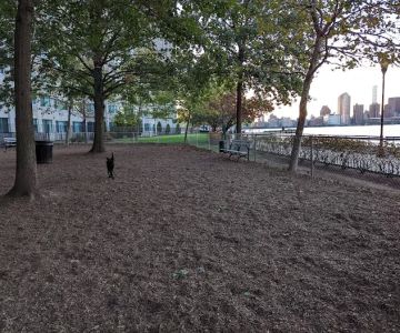 Lighthouse Dog Run
