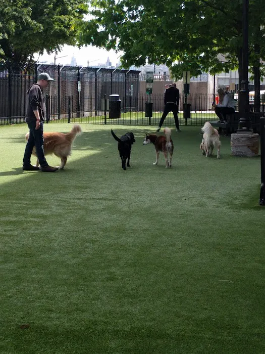 Newport Dog Park 3