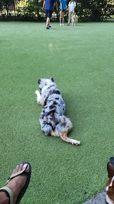 Newport Dog Park 5