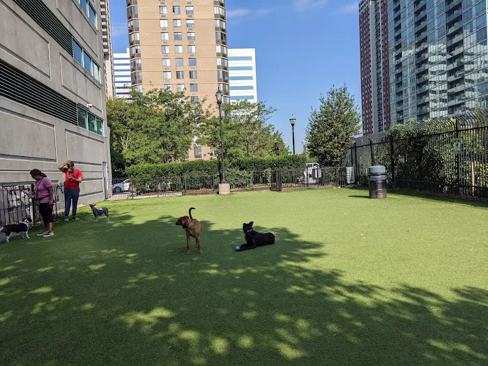 Newport Dog Park 2
